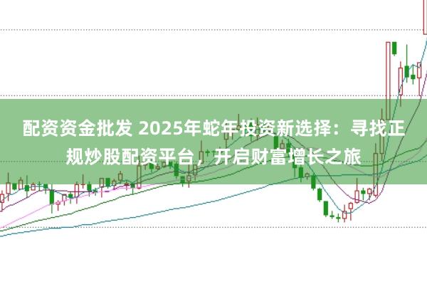 配资资金批发 2025年蛇年投资新选择：寻找正规炒股配资平台，开启财富增长之旅