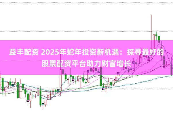 益丰配资 2025年蛇年投资新机遇：探寻最好的股票配资平台助力财富增长