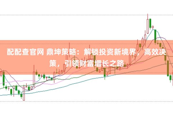 配配查官网 鼎坤策略：解锁投资新境界，高效决策，引领财富增长之路