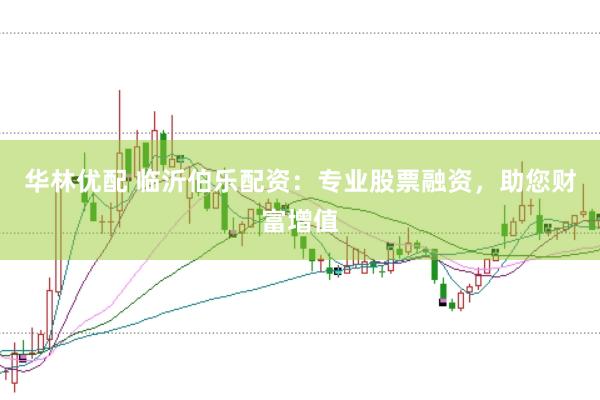 华林优配 临沂伯乐配资：专业股票融资，助您财富增值