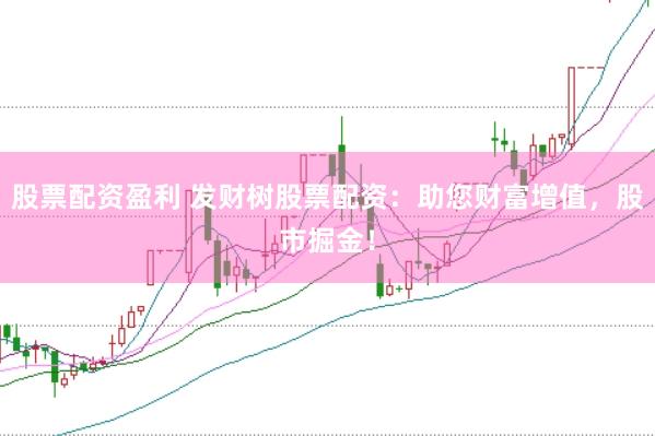 股票配资盈利 发财树股票配资：助您财富增值，股市掘金！