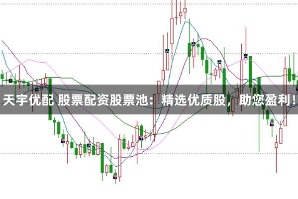 天宇优配 股票配资股票池：精选优质股，助您盈利！