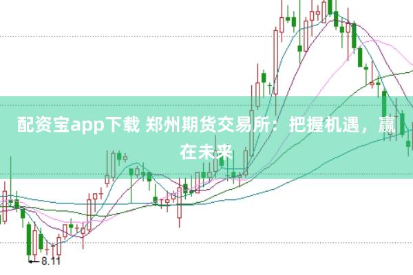 配资宝app下载 郑州期货交易所：把握机遇，赢在未来