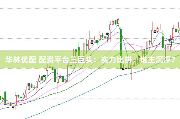 华林优配 配资平台三巨头：实力比拼，谁主沉浮？