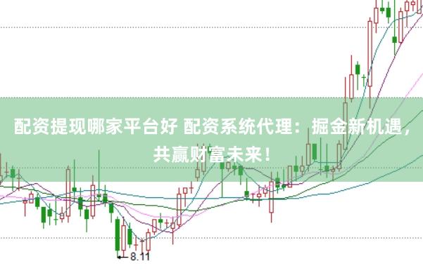 配资提现哪家平台好 配资系统代理：掘金新机遇，共赢财富未来！
