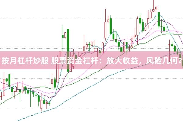 按月杠杆炒股 股票资金杠杆：放大收益，风险几何？