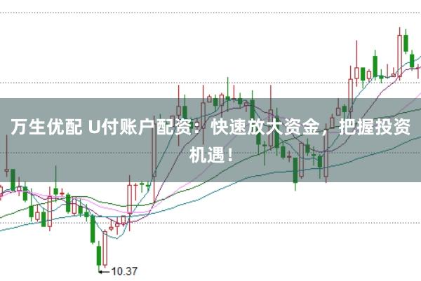 万生优配 U付账户配资：快速放大资金，把握投资机遇！