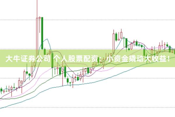 大牛证券公司 个人股票配资：小资金撬动大收益！