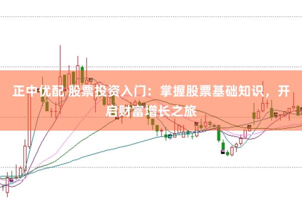 正中优配 股票投资入门：掌握股票基础知识，开启财富增长之旅