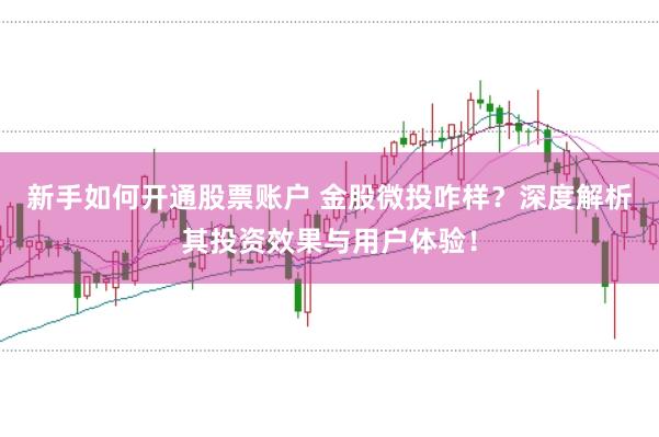 新手如何开通股票账户 金股微投咋样?深度解析其投资效果与用户体验!